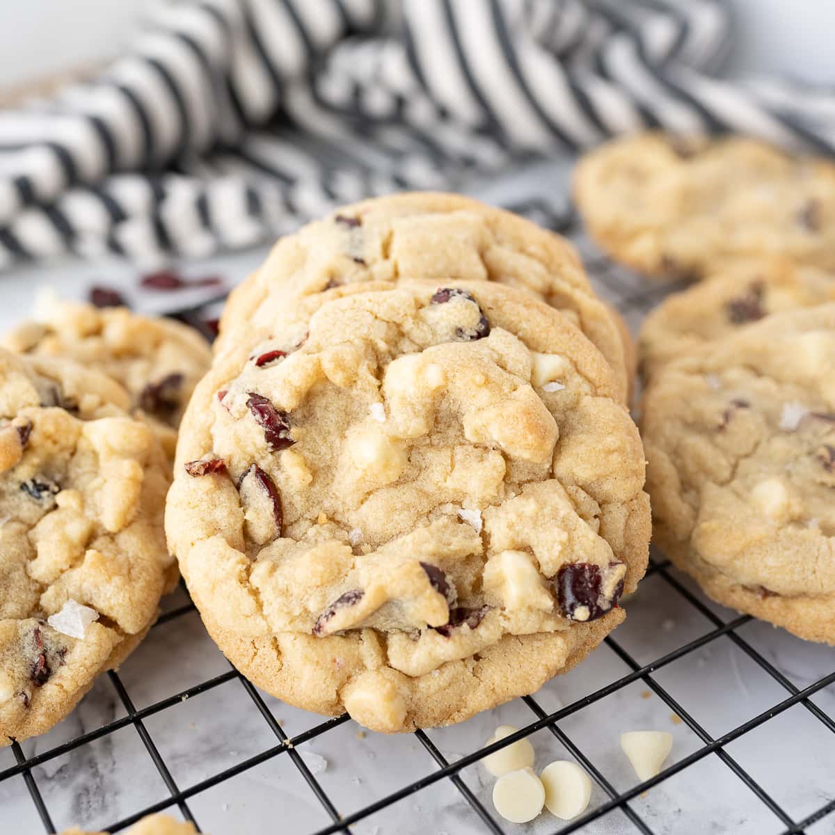 White Chocolate & Cranberry Cookie